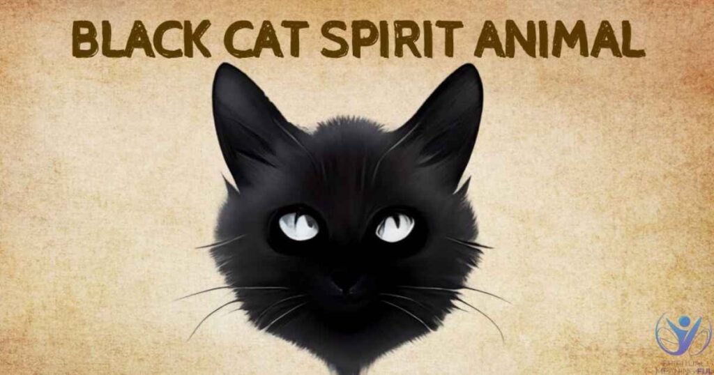 Black Cat as a Spirit Animal