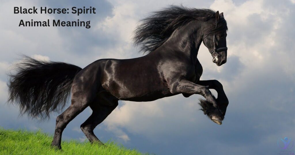 Black Horse: Spirit Animal Meaning