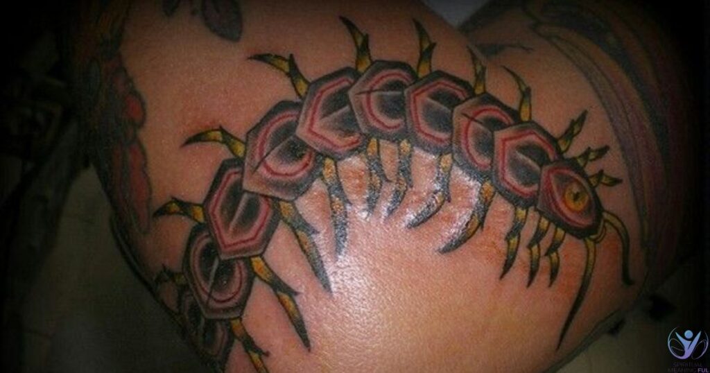 Centipede Tattoo Meaning