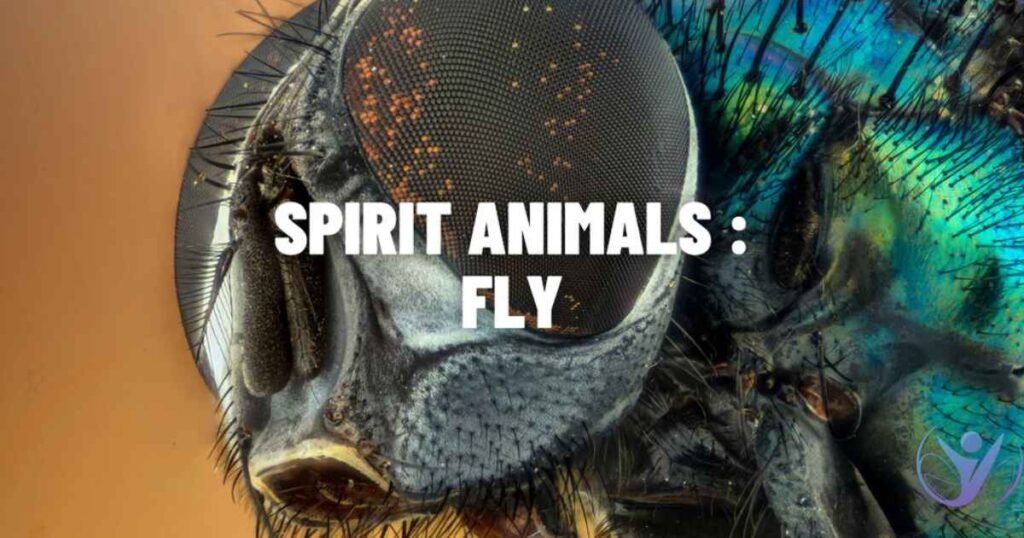 Fly Spirit Animal