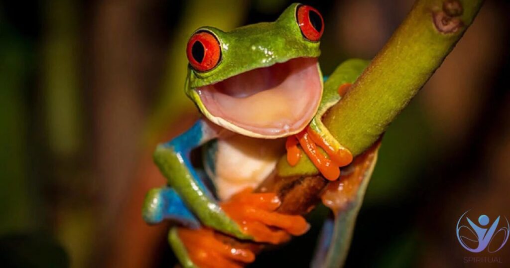 Frog Spirit Animal