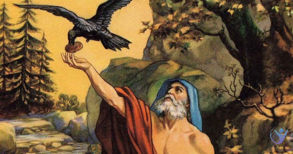 Hawk Symbolism in the Bible