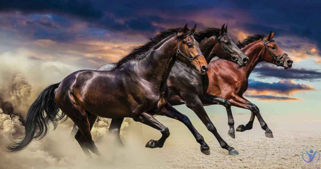 Seeing 3 Black Horses: Spiritual Meaning