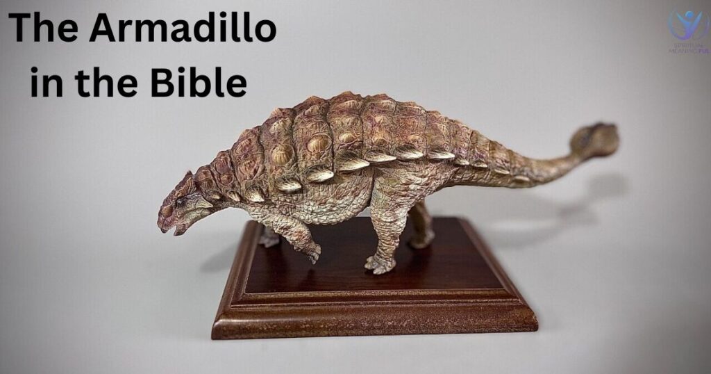 Significance of The Armadillo in the Bible