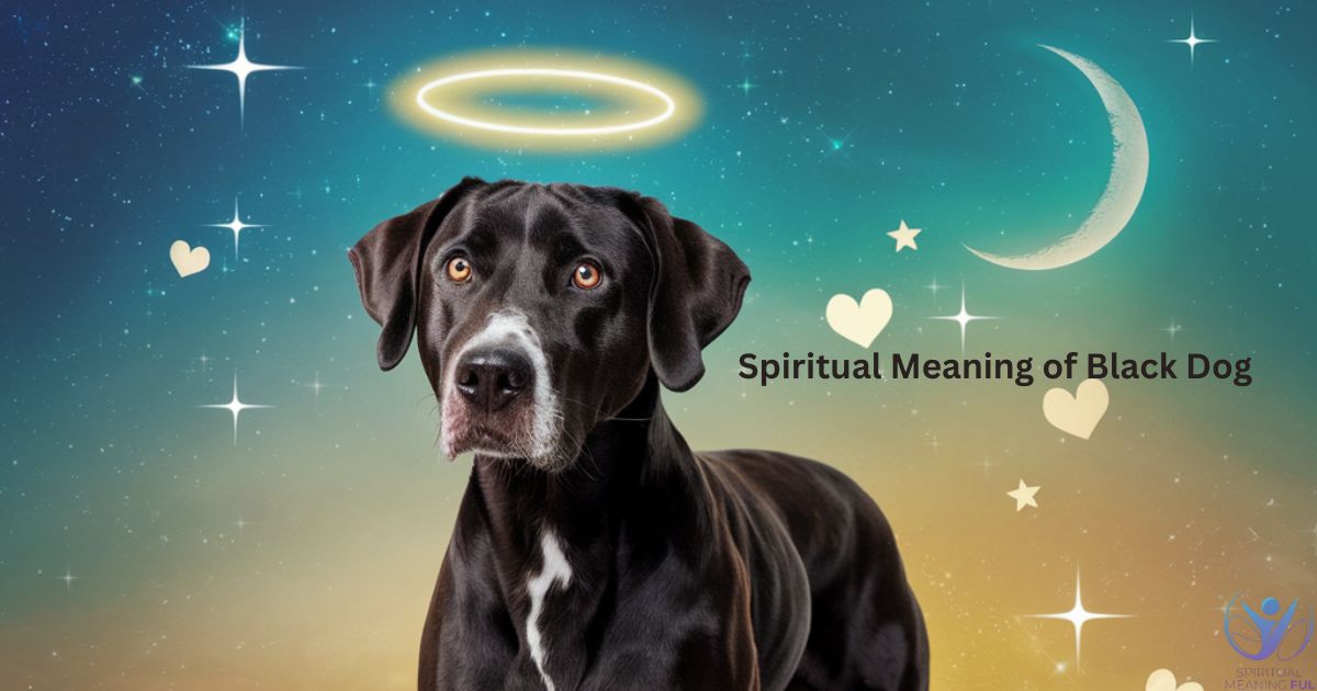 Spiritual Meaning of Black Dog