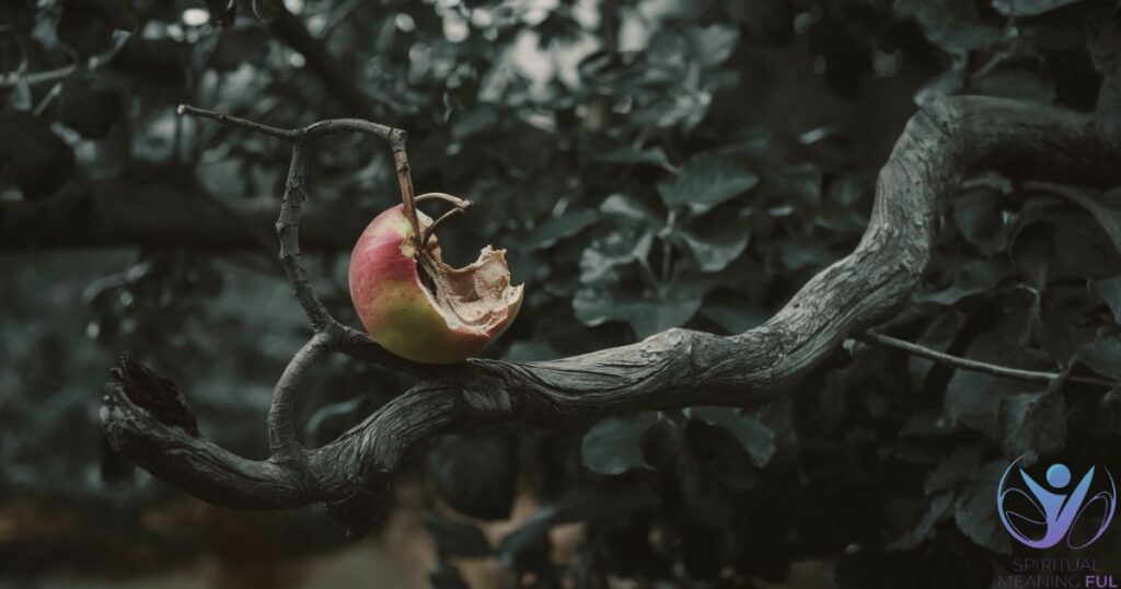 The Omen of a Dead Apple