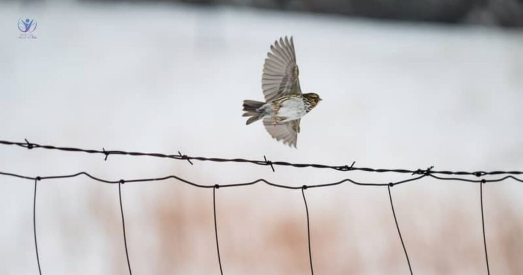 bird while driving spiritual meaning 