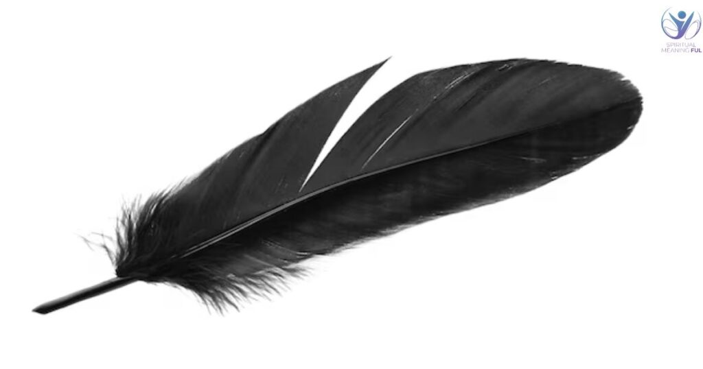 Black Feather Spiritual Meaning (Deciphering Angelic Codes)