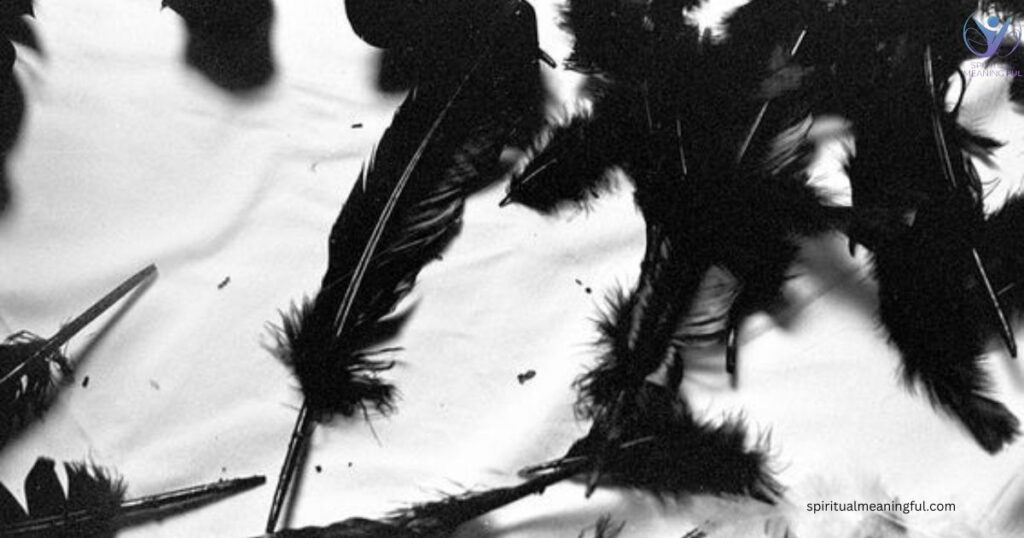 Black Feather Spiritual Messages